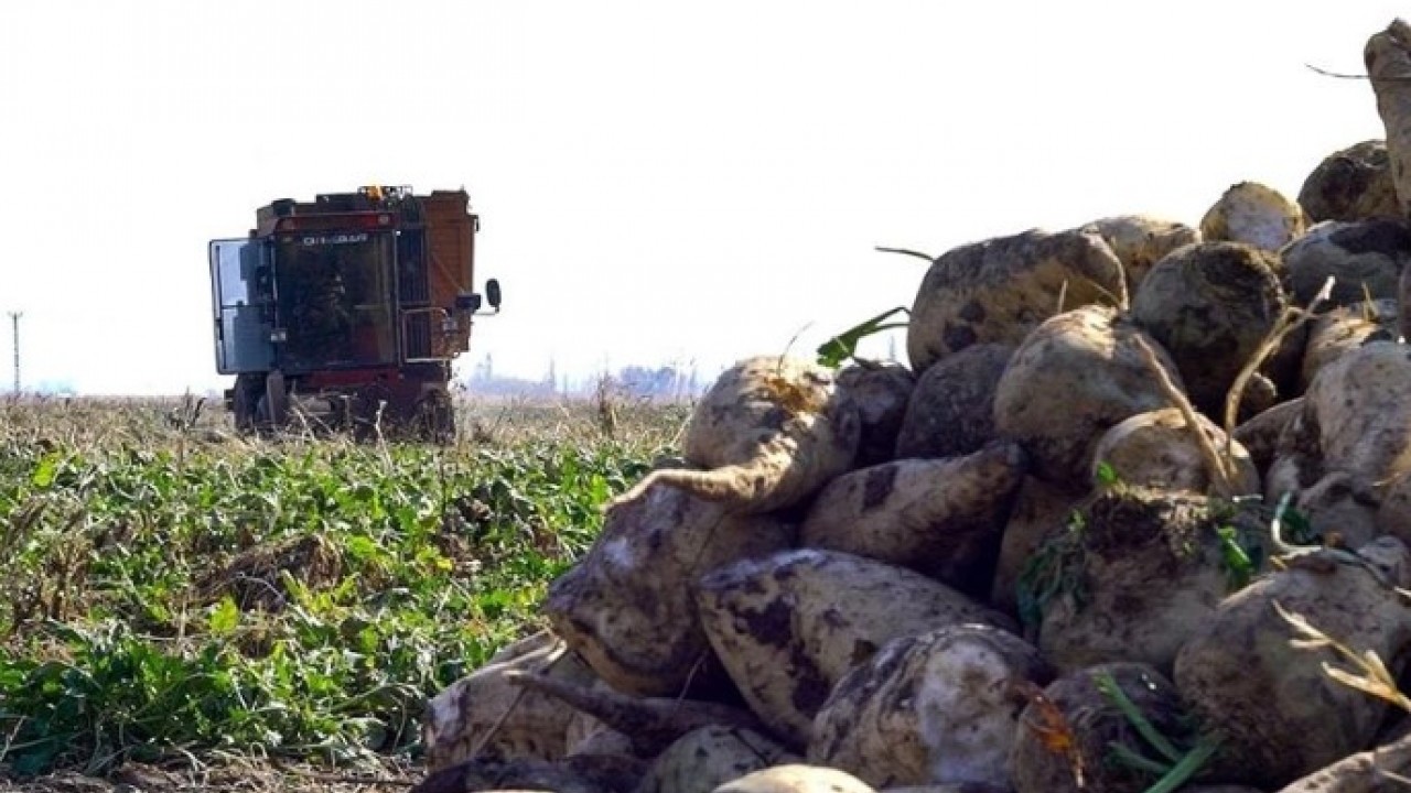 Foto - Tarım ve Orman Bakanlığı harekete geçti! Şekerlerde metal kalıntısı bulundu