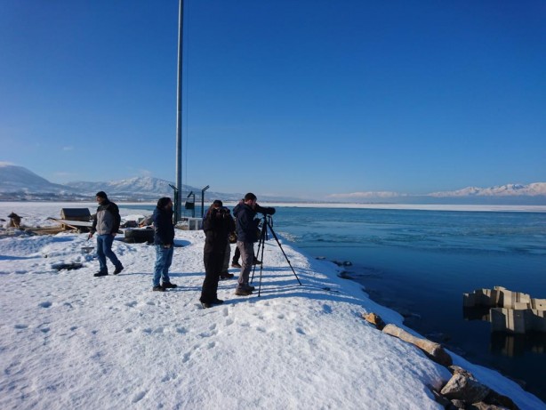 Foto - Tarım ve Orman Bakanlığı Kış Ortası Su Kuşu Sayımını 15 Ocak - 15 Şubat tarihlerinde yapacak