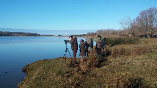 Foto - Tarım ve Orman Bakanlığı Kış Ortası Su Kuşu Sayımını 15 Ocak - 15 Şubat tarihlerinde yapacak