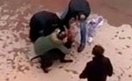 Foto - Tarım ve Orman Bakanlığından başıboş köpek sorunu için yeni formül