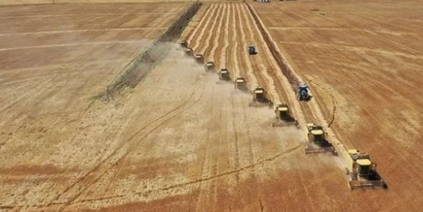 Foto - Tarıma altın dokunuş! 14 milyon TL'lik destek: Başvurular...