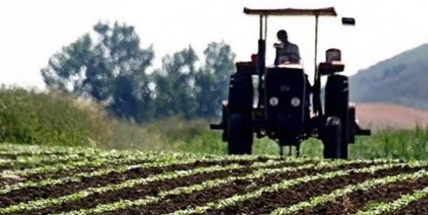 Foto - Tarıma altın dokunuş! 14 milyon TL'lik destek: Başvurular...