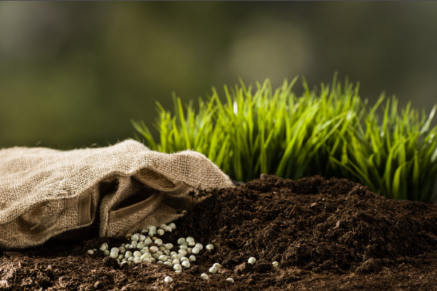 Foto - Tarımda çığır açacak buluş! Resmen duyuruldu