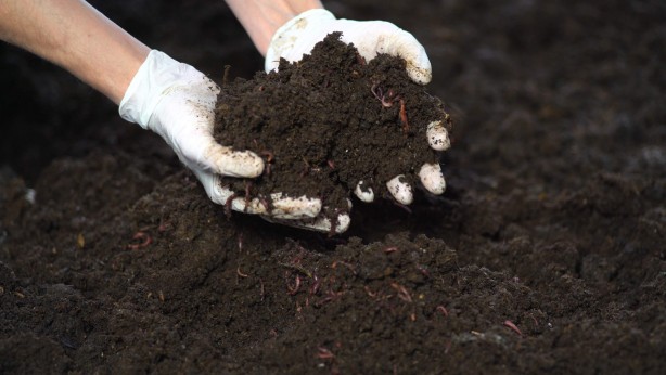 Foto - Tarımda çığır açacak buluş! Resmen duyuruldu