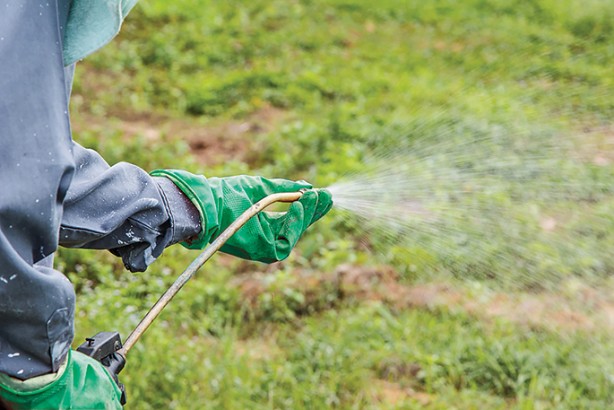 Foto - Tarımda tarihi karar: Zehir taciri Monsanto'ya (Bayer) Türkiye'den büyük şok! 