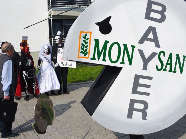 Foto - Tarımda tarihi karar: Zehir taciri Monsanto'ya (Bayer) Türkiye'den büyük şok! 