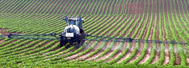 Foto - Tarımda tarihi karar: Zehir taciri Monsanto'ya (Bayer) Türkiye'den büyük şok! 