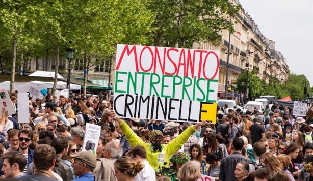 Foto - Tarımda tarihi karar: Zehir taciri Monsanto'ya (Bayer) Türkiye'den büyük şok! 