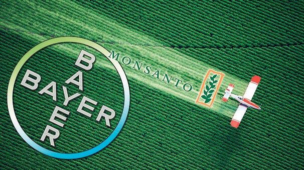 Foto - Tarımda tarihi karar: Zehir taciri Monsanto'ya (Bayer) Türkiye'den büyük şok! 