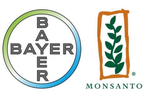 Foto - Tarımda tarihi karar: Zehir taciri Monsanto'ya (Bayer) Türkiye'den büyük şok! 