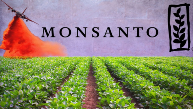 Foto - Tarımda tarihi karar: Zehir taciri Monsanto'ya (Bayer) Türkiye'den büyük şok! 