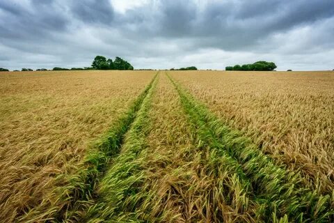 Foto - Tarla almadan önce bunları öğrenin! İşte yatırımcıların bilmesi gereken bilgiler...