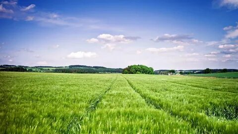 Foto - Tarla almadan önce bunları öğrenin! İşte yatırımcıların bilmesi gereken bilgiler...