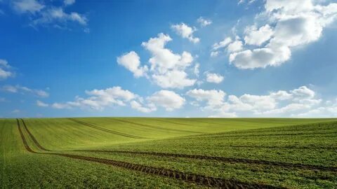 Foto - Tarla almadan önce bunları öğrenin! İşte yatırımcıların bilmesi gereken bilgiler...