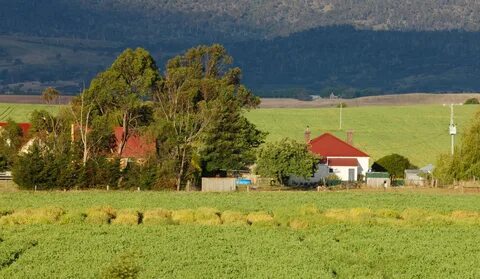 Foto - Tarla almadan önce bunları öğrenin! İşte yatırımcıların bilmesi gereken bilgiler...