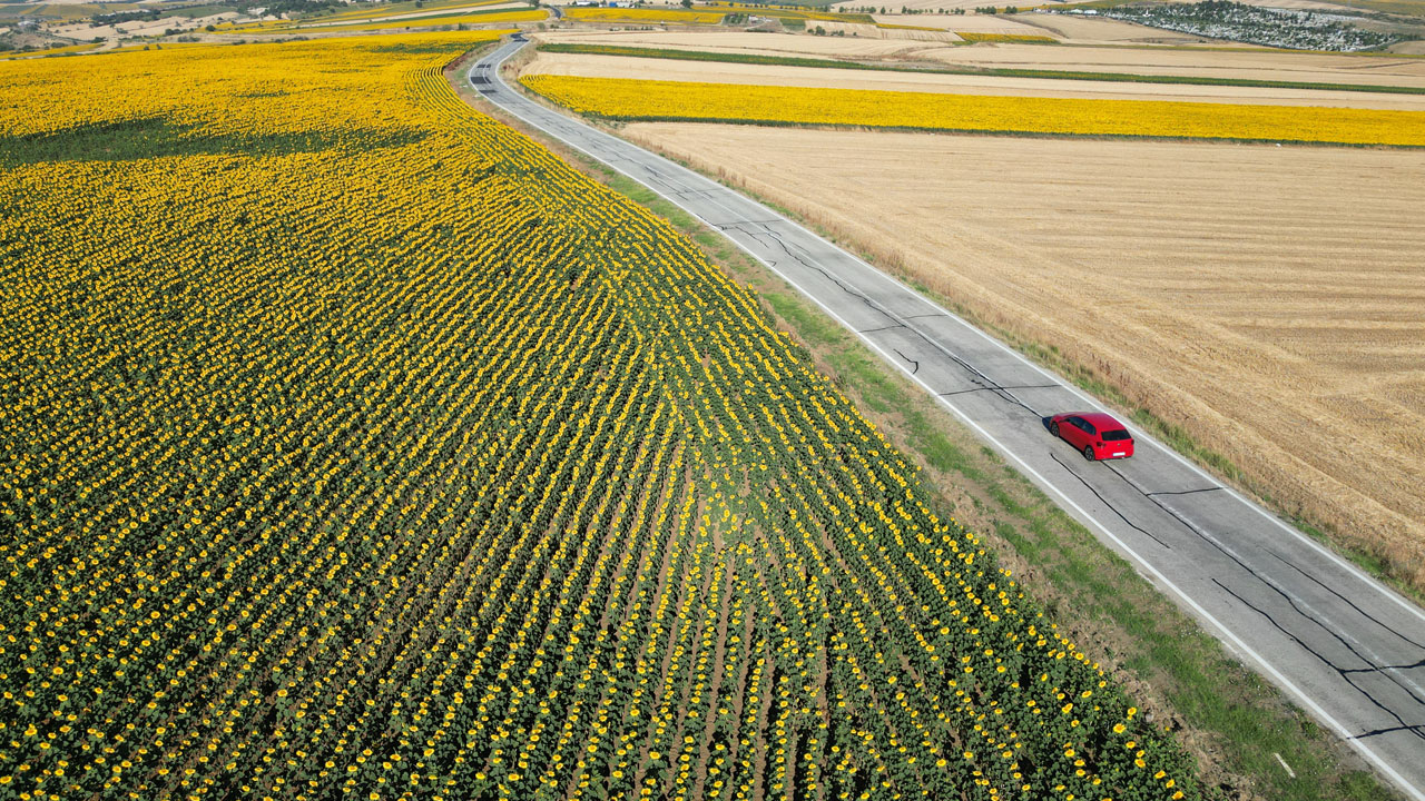Foto - Tarla değil adeta düş bahçesi! Sarıya boyanan yolculuk