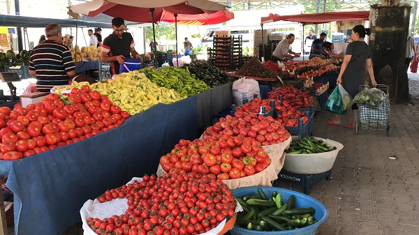 Foto - Tarla sahibi bile sonunda isyan etti: Gelin buraya 4 liradan alın