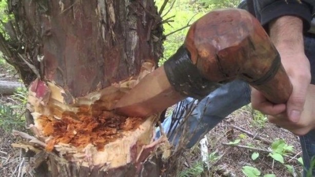 Foto - Tarla sürerken öyle bir şey buldular ki!