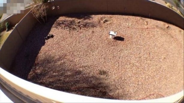 Foto - Tarla sürerken öyle bir şey buldular ki!