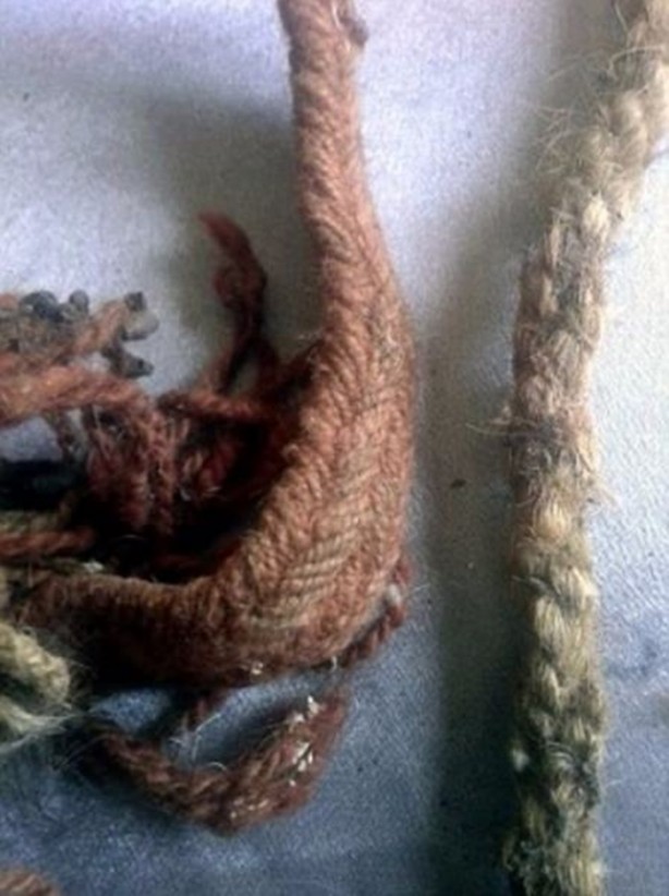 Foto - Tarla sürerken öyle bir şey buldular ki!