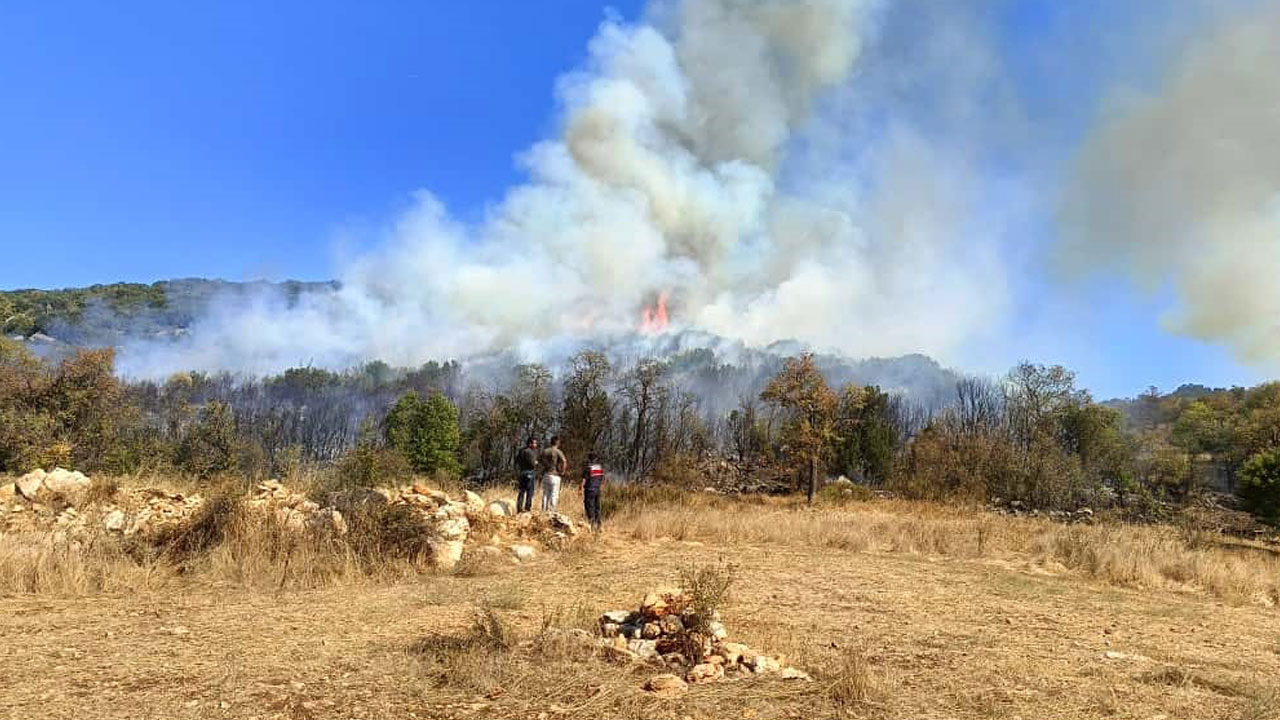 Foto - Tarla yangını ormana sıçradı! Kötü haber geldi