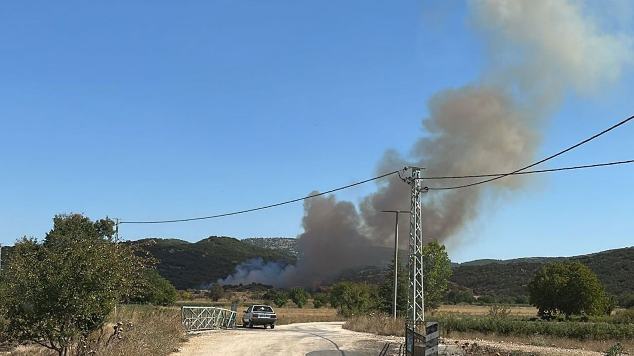 Tarla yangını ormana sıçradı! Kötü haber geldi