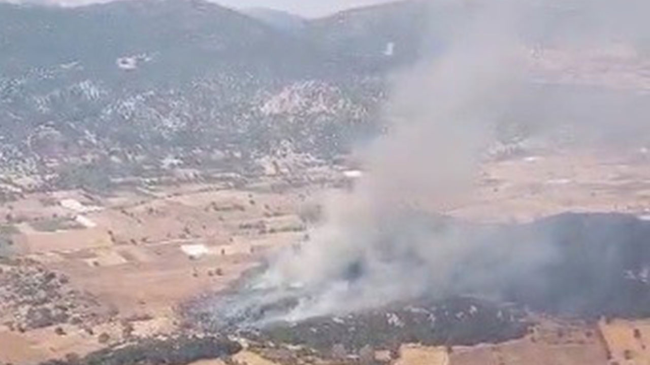 Foto - Tarla yangını ormana sıçradı! Kötü haber geldi