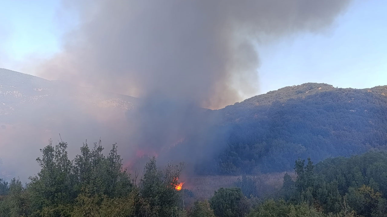 Foto - Tarla yangını ormana sıçradı! Kötü haber geldi