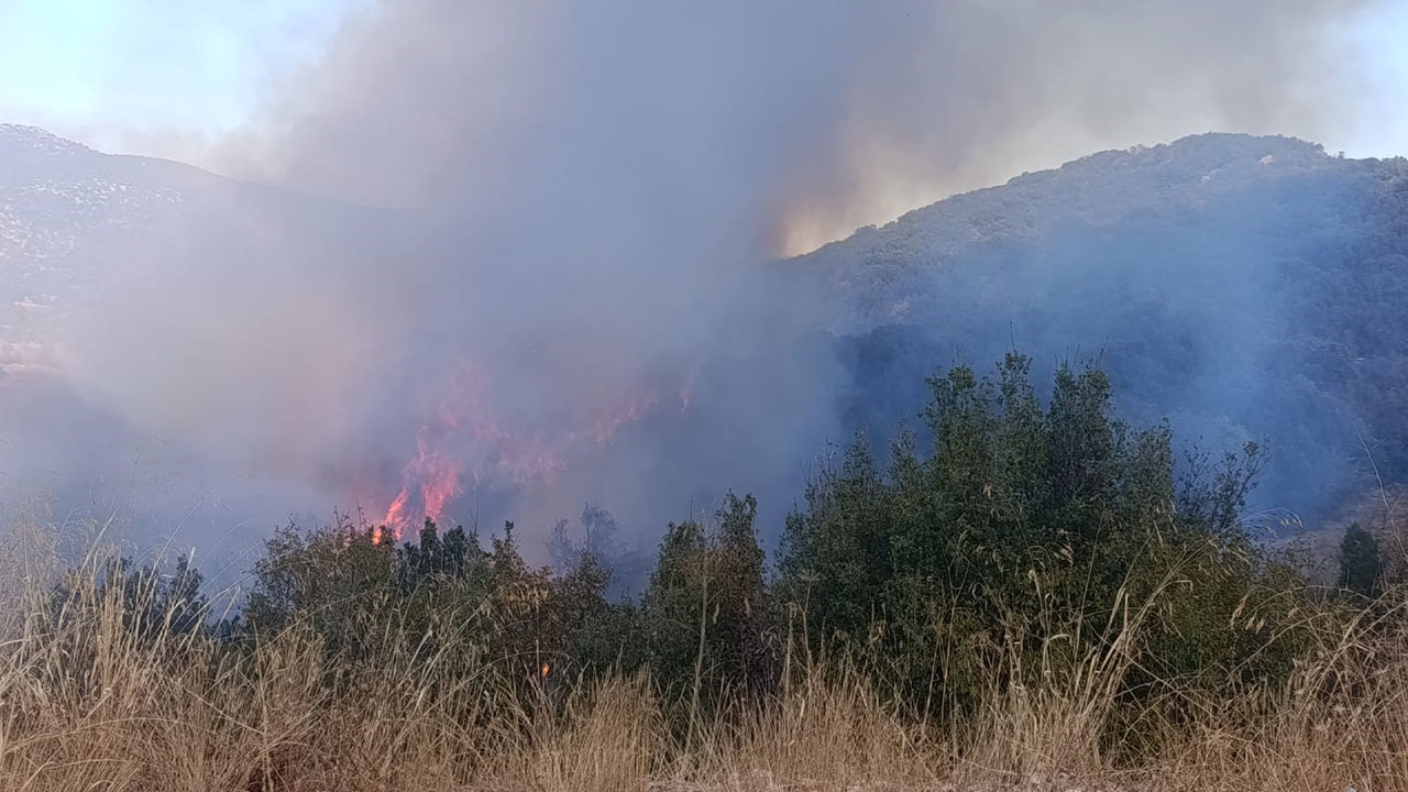 Foto - Tarla yangını ormana sıçradı! Kötü haber geldi
