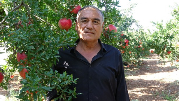 Foto - Tarlada 10, markette ise 30 TL