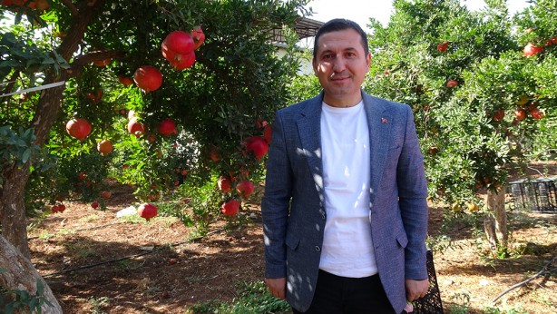 Foto - Tarlada 10, markette ise 30 TL