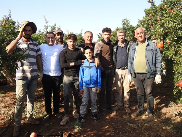 Foto - Tarlada 10, markette ise 30 TL