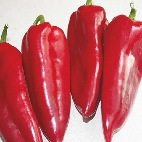 Foto - Tarlada 15, markette 80 lira!