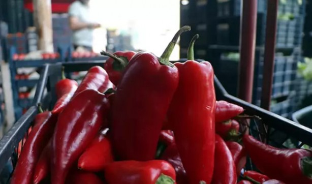 Foto - Tarlada 15, markette 80 lira!