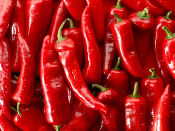 Foto - Tarlada 15, markette 80 lira!