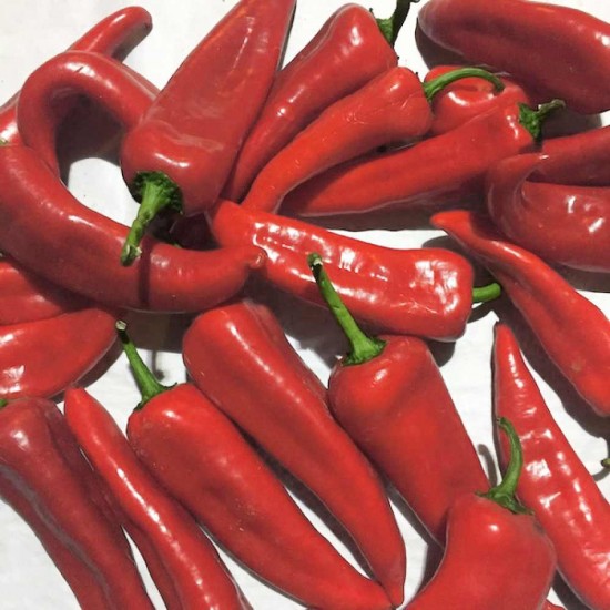 Foto - Tarlada 15, markette 80 lira!