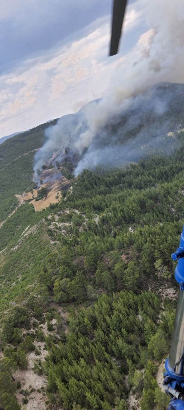 Foto - Tarlada başlayan yangın ormanlık alana sıçradı!