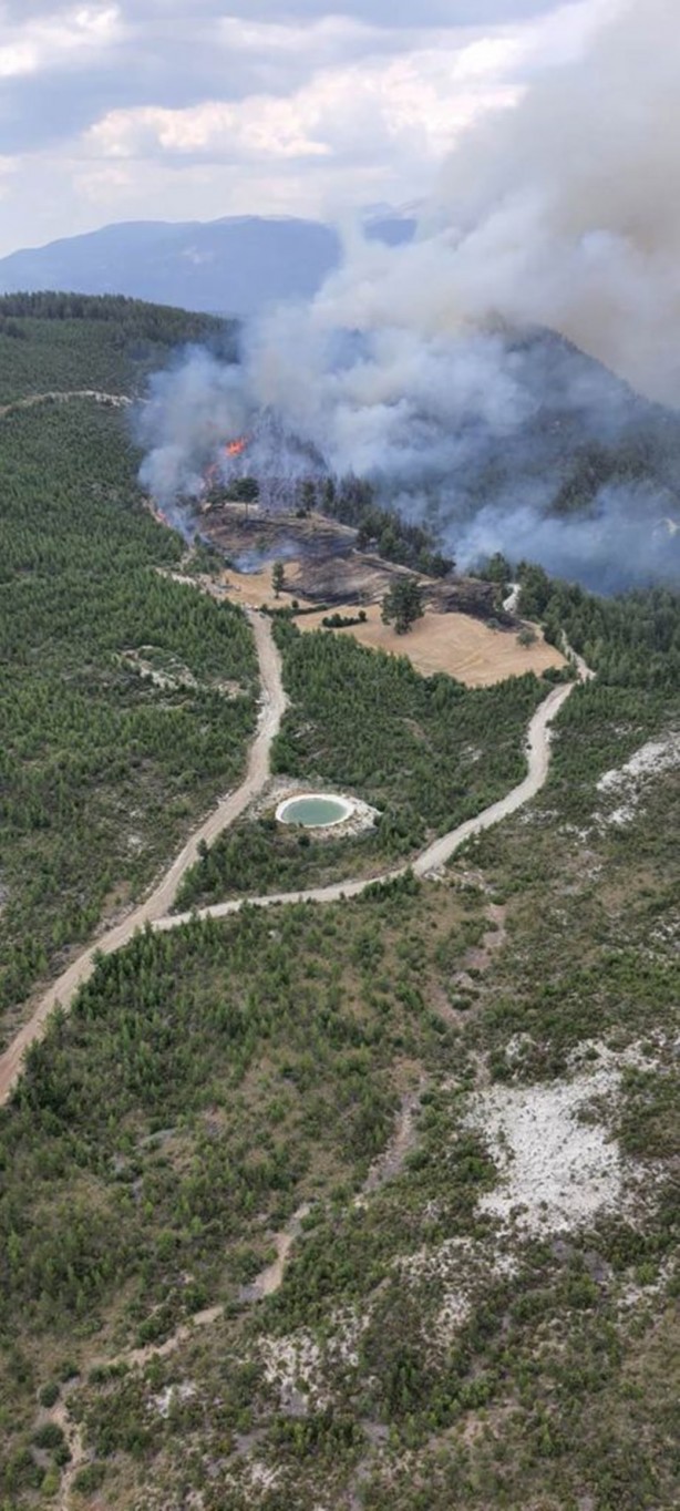 Foto - Tarlada başlayan yangın ormanlık alana sıçradı!