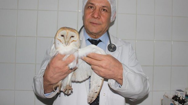 Foto - Tarlada çalışırken gördü! Manisa’da ortaya çıktı