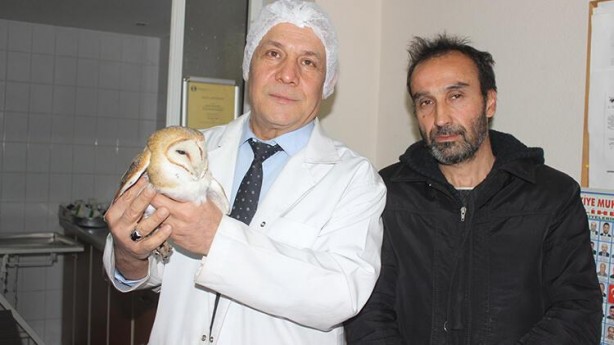 Foto - Tarlada çalışırken gördü! Manisa’da ortaya çıktı