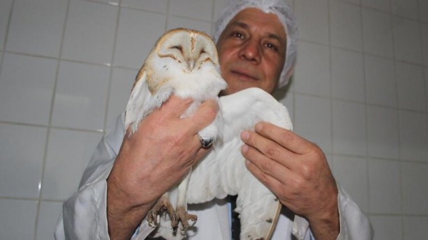 Foto - Tarlada çalışırken gördü! Manisa’da ortaya çıktı