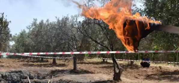 Foto - Tarlada şans eseri doğalgaz bulundu! Resmen fışkırıyor, insanlar evlerine poşetle gaz taşıyor