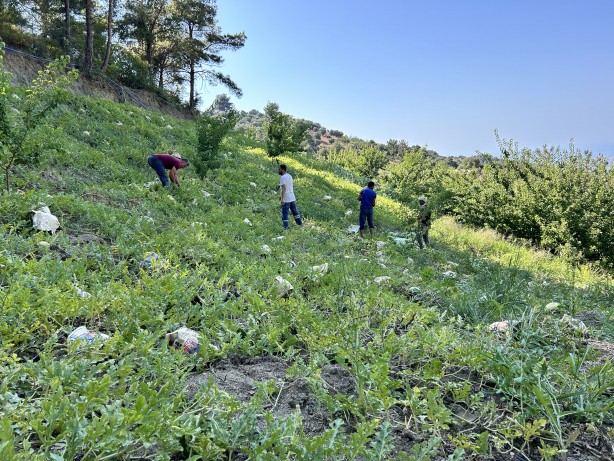Foto - Tarladaki karpuzları gazeteyle kapladılar... Bakın neden