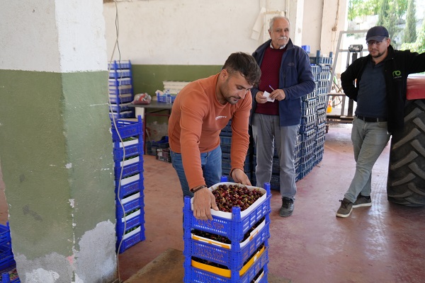 Foto - Tarladan 39 TL'ye çıkıyor markette 199 TL