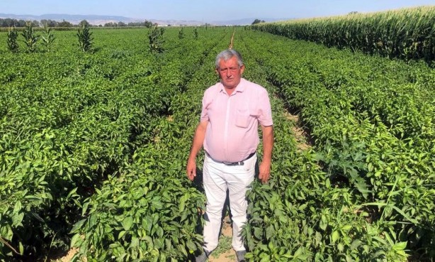 Foto - Tarladan 5 liraya alınan biber market ve pazarlarda 35-40 liraya satılıyor!