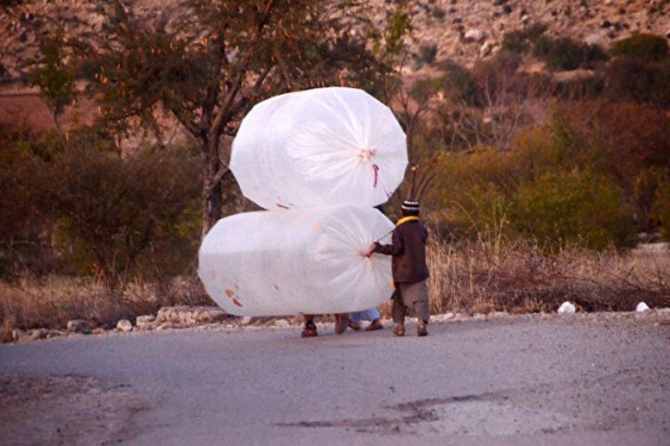 Foto - Tarlada şans eseri doğalgaz bulundu! Resmen fışkırıyor, insanlar evlerine poşetle gaz taşıyor