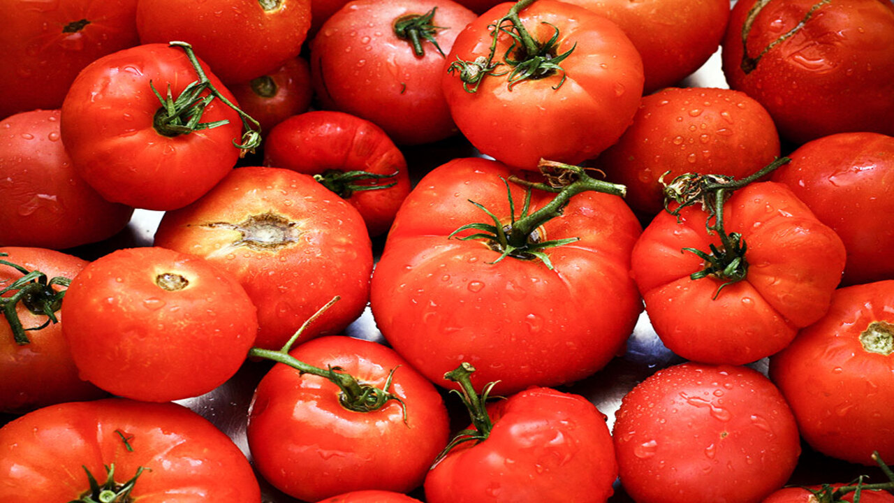 Foto - Tarladan pazara büyük fark: Domatese yüzde 60 zam