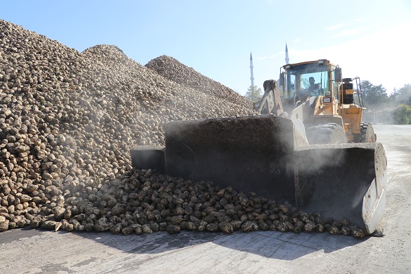 Foto - Tarladan sofraya onlarca işlem! Şeker sofraya öyle kolay gelmiyor