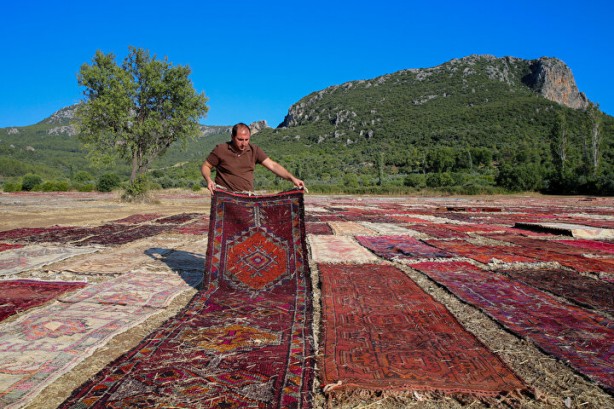 Foto - Tarlalardaki bu görüntüye şaşırmayın! Türkiye'de üretiliyor, dünya peşine düşüyor