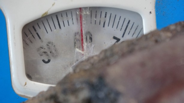 Foto - Tarlasında şans eseri buldu! Tokatlı adam milyoner oldu